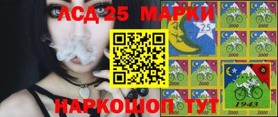 прущие грибы Балашиха