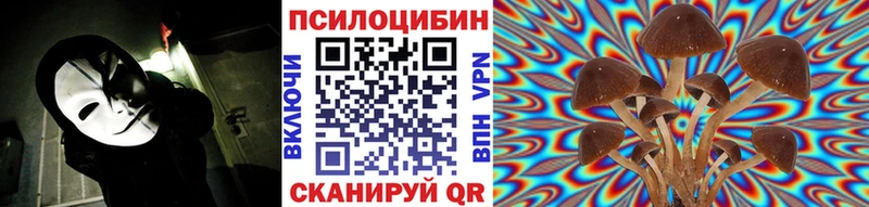 Псилоцибиновые грибы Psilocybine cubensis  цена наркотик  Бугуруслан 