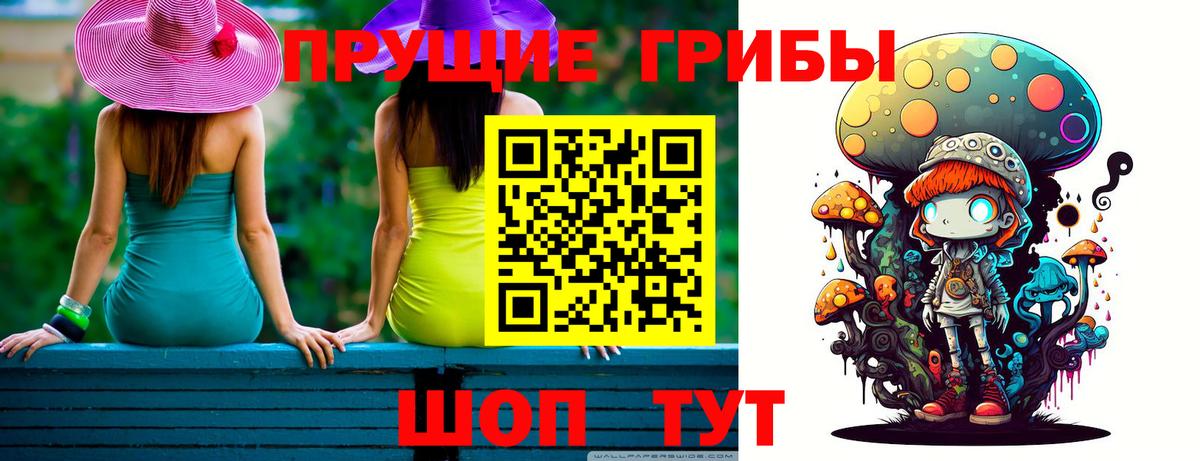 купить   Бугуруслан  Псилоцибиновые грибы мицелий 