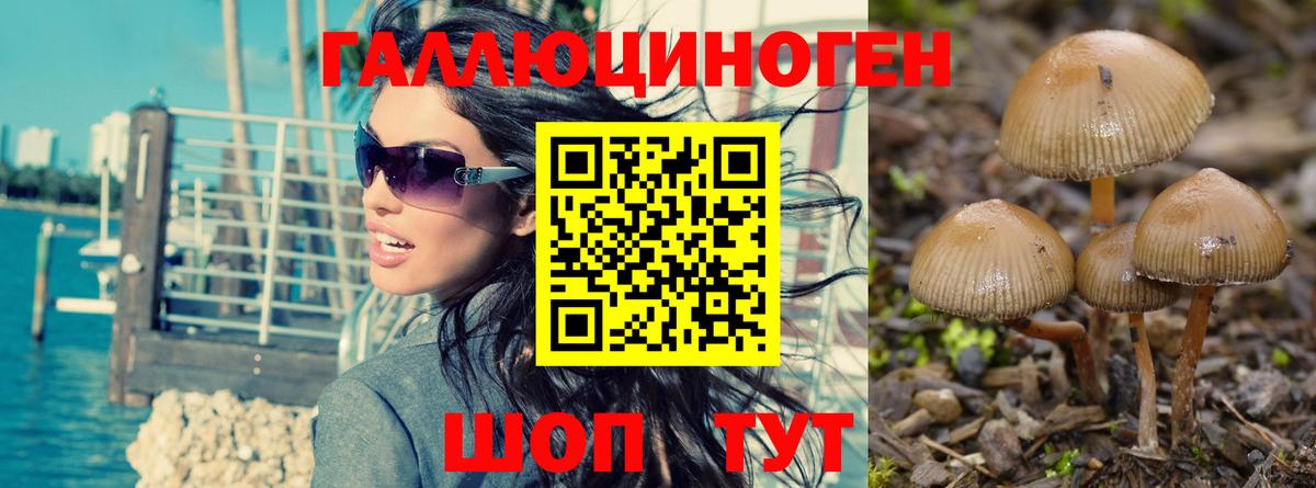 Псилоцибиновые грибы Psilocybine cubensis  Вход с VPN  закладки  Бугуруслан 