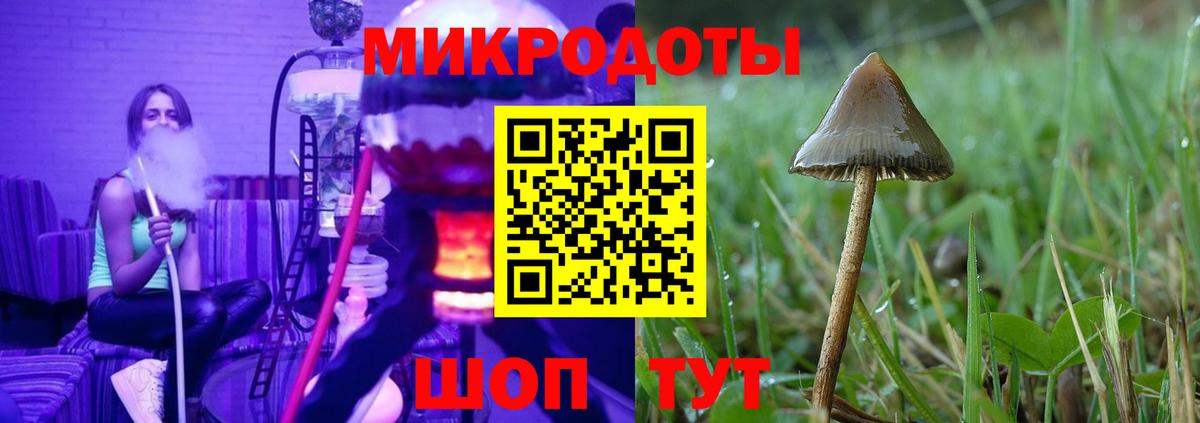 Псилоцибиновые грибы MAGIC MUSHROOMS Бугуруслан